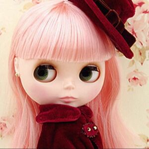 希少新品 トイザらス限定ブライス『ステラサバンナ』blythe