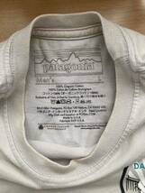 USA製 patagonia S/S TEE DAMNATION半袖Tシャツ Lsize パタゴニア_画像3