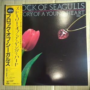 フロック・オブ・シーガルズ「the story of a young heart」邦LP 19年★★a flock of seagullspost-punk new wave星空の恋