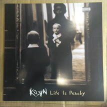 KORN「life is peachy」英オリジナルLP 1996年 ★★mixture heavy nu metal alternative rockコーン_画像1