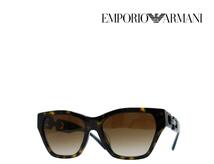 【EMPORIO ARMANI】エンポリオ アルマーニ　サングラス　EA4203U　5026/13　ハバナ　フルフィットモデル　国内正規品_画像1