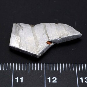 セイムチャン 4.5g スライス カット 標本 石鉄 隕石 パラサイト Seymchan 41の画像4