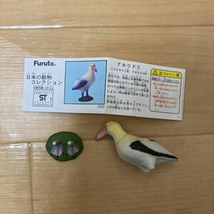 日本の動物コレクション　アホウドリ　フルタ　海鳥　送料120円　チョコエッグ　値下げ