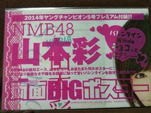 ヤングチャンピオン 2014年No.5 グラビア切り抜き 山本彩 ポスター＆クリアファイル付き_画像5