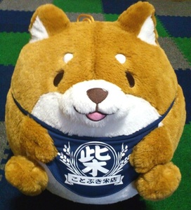  soft toy . dog mochi ...... super BIG soft toy used 