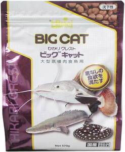 キョーリン　ひかりクレスト ビッグキャット 大型底棲肉食魚用 570ｇ　×　２セット　　　　　　送料全国一律　520円