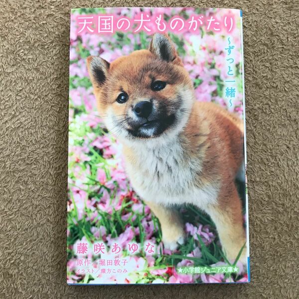 【セット割引・オマケ付】天国の犬ものがたり ずっと一緒 （小学館ジュニア文庫） 藤咲あゆな著 堀田敦子原作 環方このみイラスト