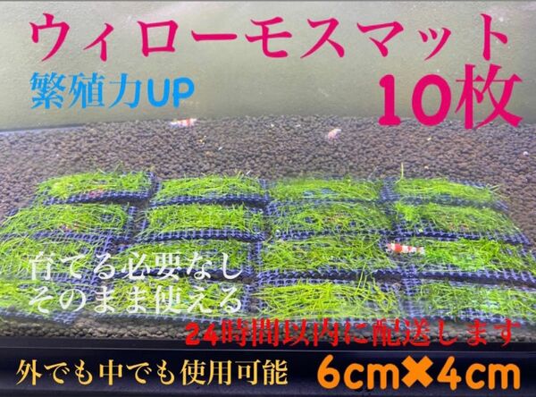 ウィローモスマット　10枚セット　業者様もご愛用　すぐ使えます。　24時間以内に配送します。