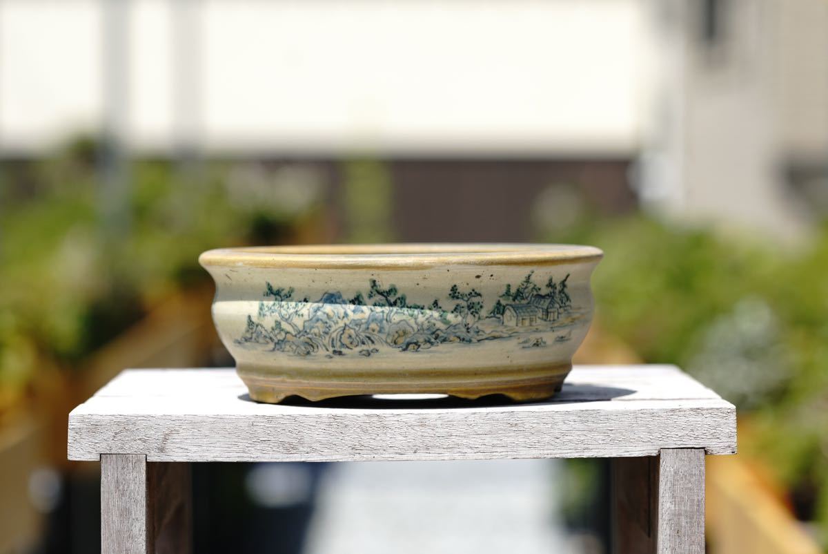 ヤフオク! -「盆栽鉢」(花、園芸) の落札相場・落札価格