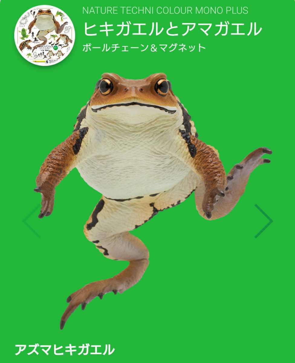 男性に人気! ネイチャーテクニカラー JAPAN 日本のカエル ネイチャー