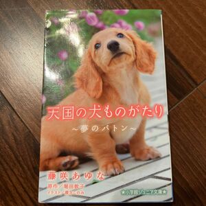 天国の犬ものがたり 小学館ジュニア文庫 藤咲あゆな