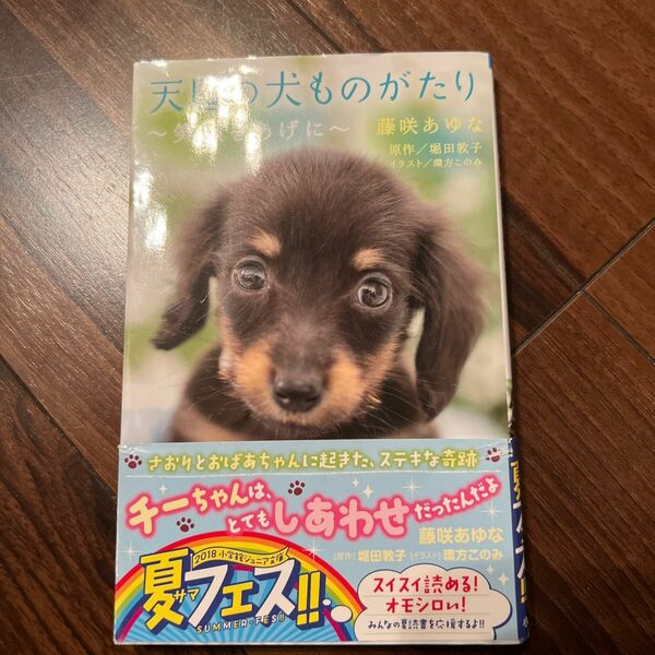 天国の犬ものがたり〜笑顔をあげに〜　小学館ジュニア文庫