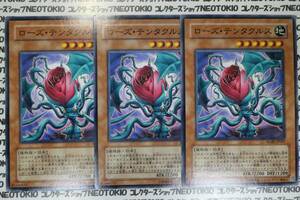 遊戯王 ローズ・テンタクルス(ノーマル RGBT)×3枚セット