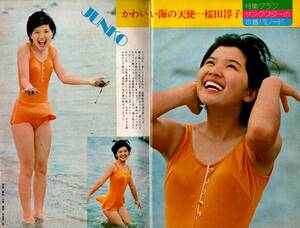 s3162 superior article ordinary song book attaching 1973 year Showa era 48 year swimsuit bikini Sakura rice field .. forest .. Asaoka Megumi Minami Saori chestnut rice field ... small .rumi. heaven ground genuine . Saijo Hideki Yamaguchi Momoe 