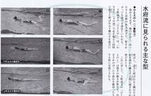 常陽藝文第215号伝統を泳ぐ水府流水術　水戸藩武芸・日本泳法・徳川頼房徳川光圀奨励・水泳教場那珂川・自然泳法のし泳ぎ等　茨城県水泳_画像6