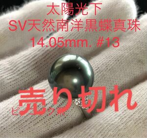 SV天然南洋黒蝶真珠　大珠　丸系リング　14.05mm #13