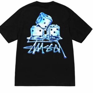 STUSSY　Tシャツ