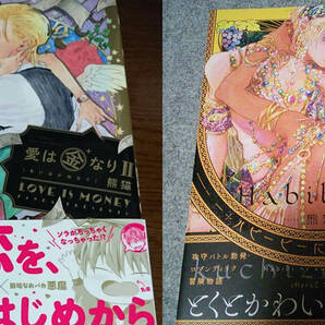 【熊猫 2冊セット】おまけ6種付☆愛は金なり 2巻☆ハビービーにくちづけを