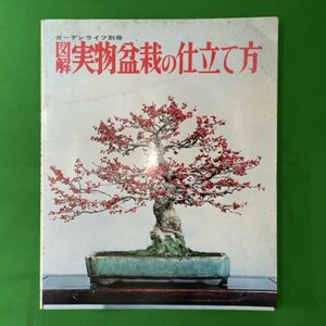 図解 実物盆栽の仕立て方 ガーデンライフ別冊 誠文堂新光社 1975年 昭和50年9月30日発行