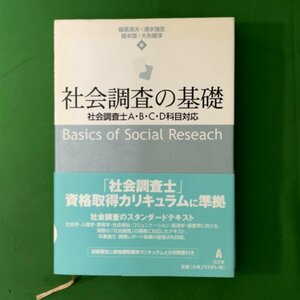 【帯付き】社会調査の基礎 社会調査士A・B・C・D科目対応 弘文堂 篠原清夫/清水強志 単行本 2010年 平成22年2月15日初版発行