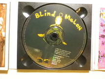 2枚組仕様限定盤 『Blind Melon/Blind Melon(1992)』(Capitol 7243 8 29788 2 4,1st,UK盤,歌詞付,No Rain,グランジ,フォーク・ロック)_画像4