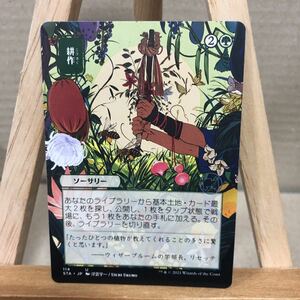 MTG 《耕作/Cultivate》[STA-JP] 緑U ストリクスヘイヴン：魔法学院 日本画ミスティカルアーカイブ アンコモン