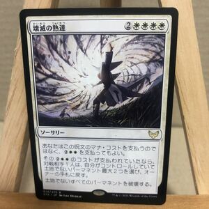 MTG 《壊滅の熟達/Devastating Mastery》[STX] 白R 日本語版 ストリクスヘイヴン：魔法学院 マジックザギャザリング