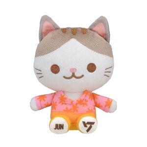 セガ SEVENTEEN ANIMAL COORDY ミニぬいぐるみ SECTOR17 JUN ジュン セブチ セブンティーン マスコット ねこ ネコ 猫