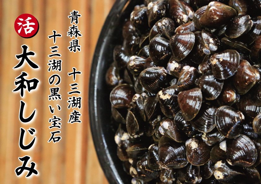 津軽の黒い宝石 青森県 十三湖 産 【高級 活 しじみ 大粒 6kg（6キロ）】