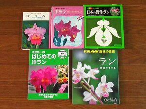 洋らん 作り方と鑑賞/洋ラン 美しい花の咲かせ方/カラー版 ホーム園芸 日本の野生ラン/江尻光一のはじめての洋ラン/初めて育てる 5冊 CA17