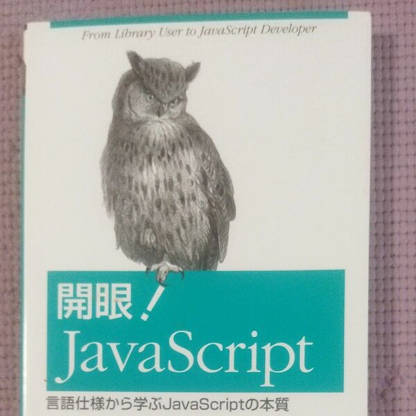 開眼！ＪａｖａＳｃｒｉｐｔ　言語仕様から学ぶＪａｖａＳｃｒｉｐｔの本質 Ｃｏｄｙ　Ｌｉｎｄｌｅｙ／著　和田祐一郎／訳