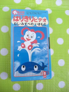 即決〈同梱歓迎〉VHS チャレンジ1ねんせいはりきりビデオ1999年8月号(17)むし・みずべのいきもの 進研ゼミ小学講座コラショ◎出品中θb290