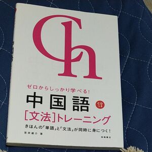 中国語〈文法〉トレーニング　ゼロからしっかり学べる！　文法で覚えるのはこれだけ！ 宮岸雄介／著