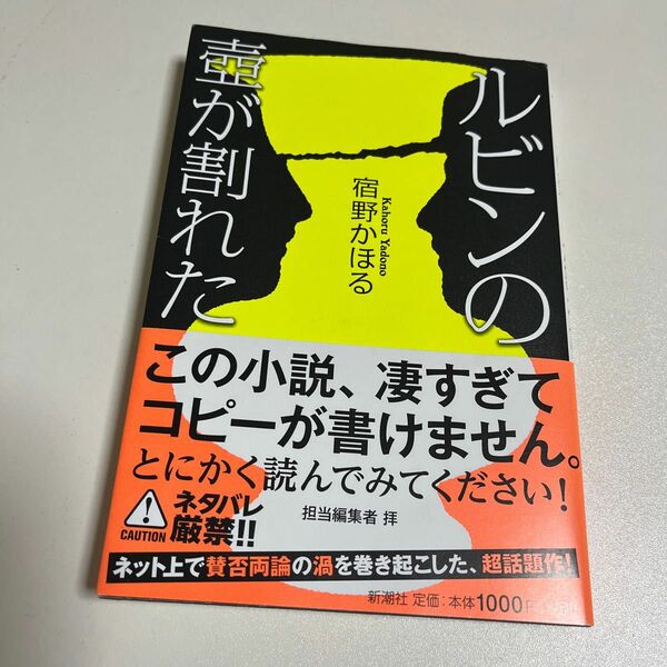 ルビンの壺が割れた 宿野かほる