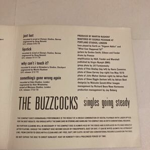 バズコックス BUZZCOCKS Singles Going Steady ピート・シェリー PETE SHELLEY パンク天国 パワーポップ パブロック 初期パンク UK PUNKの画像7