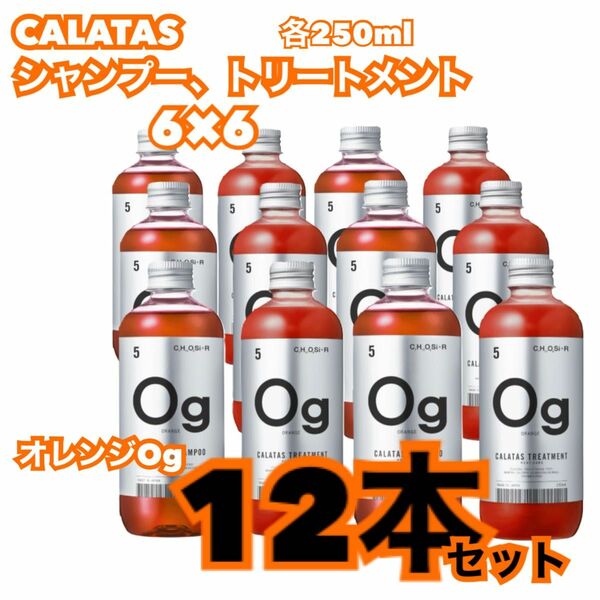 お買い得！CALATASカラタス　オレンジシャンプー6本&トリートメント6本