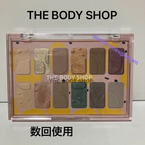 ボディショップ アイカラー THE BODY SHOP アイシャドウパレット ペイントインカラー 化粧品 アイメイク 12色 