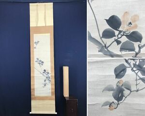 Art hand Auction 【真作】松村景文/椿図/花図/掛軸☆宝船☆AC-85, 絵画, 日本画, 花鳥, 鳥獣