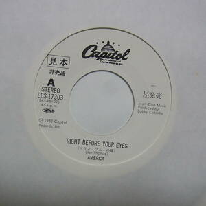 アナログ 7INCH EP ●プロモ盤～AMERICA /RIGHT BEFORE YOUR EYES C/W INSPECTOR MILLS ～ ECS-17303 見本盤 