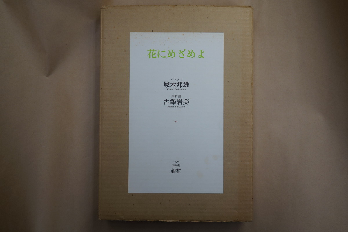 2023年最新】Yahoo!オークション -岩美(文学、小説)の中古品・新品