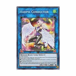 遊戯王 英語版 BLHR-EN047 Harpie Conductor ハーピィ・コンダクター (シークレットレア) 1st Edition