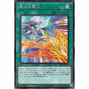 聖なる篝火 シークレットレア 遊戯王 Selection 10 slt1-jp045