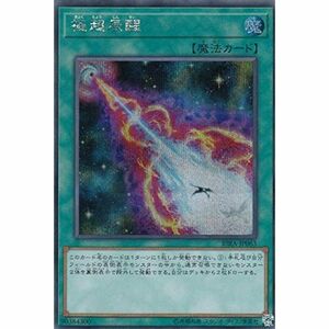 極超辰醒 シークレットレア 遊戯王 ライジング・ランペイジ rira-jp063