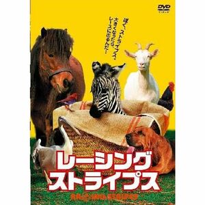 レーシング・ストライプス DVD