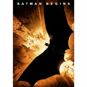 バットマン ビギンズ(初回生産限定スペシャル・パッケージ) DVD
