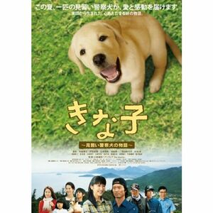 きな子~見習い警察犬の物語~ DVD