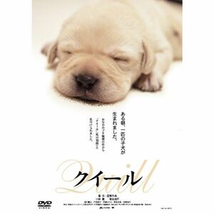 「きな子~見習い警察犬の物語~」DVD発売記念 犬だワンダフルキャンペーン クイール（限定生産）