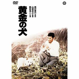 黄金の犬 DVD