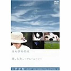 行定勲 Hert Wraming Collection えんがわの犬/恋、した。ブルームーン DVD