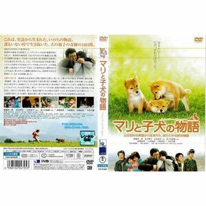 マリと子犬の物語 船越英一郎松本明子｜中古DVD レンタル落ち DVD